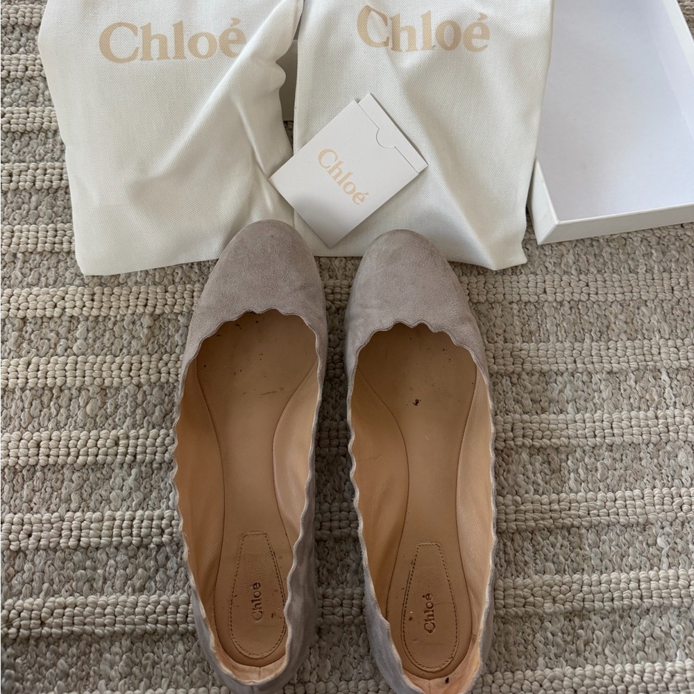 Chloe Flats in Elephant Gray